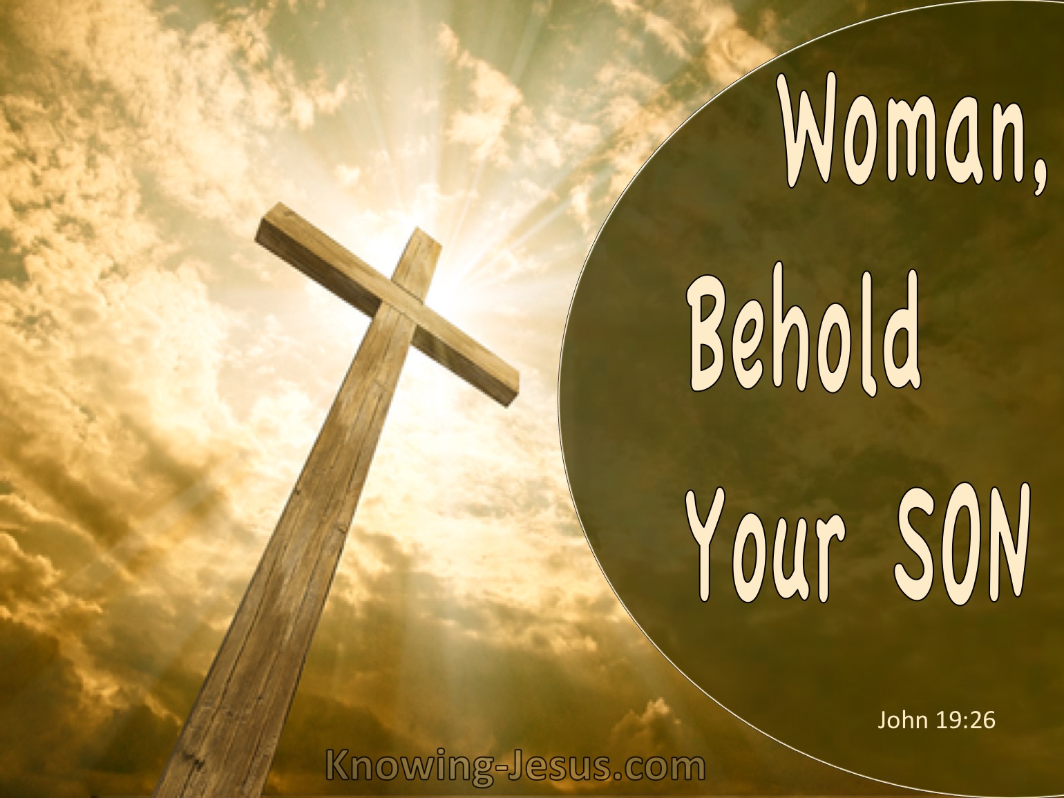 What Is The Meaning Of Woman Behold Your Son